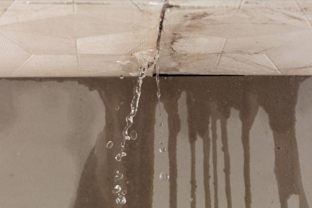 Professional Sewage Cleanup technician working in Olathe, KS